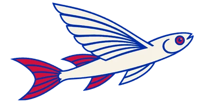 Casa Mercado flying fish